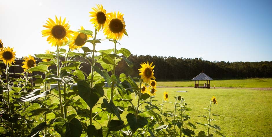 byron-yoga-centre-garden