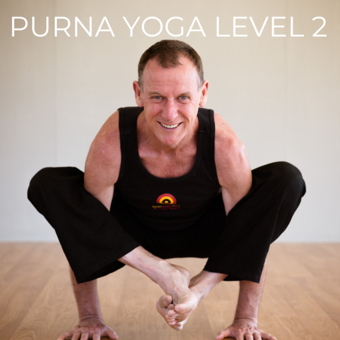 Digital Download Yoga Class - Level 2 With John Ogilvie