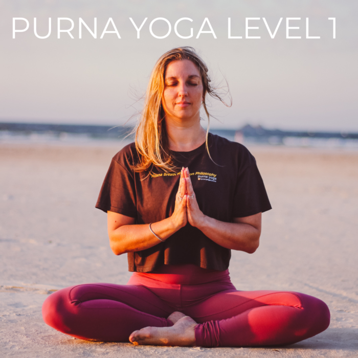 Digital Download Yoga Class - Level 1 With John Ogilvie