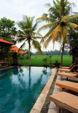 byron-yoga-greenfeilds-pool-2-bali