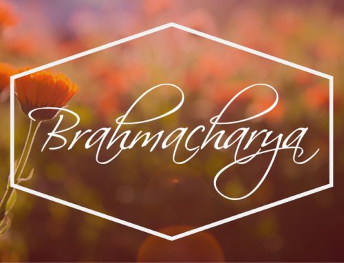 Living the 8 Limbs – the fourth of the Yamas – Brahmacharya