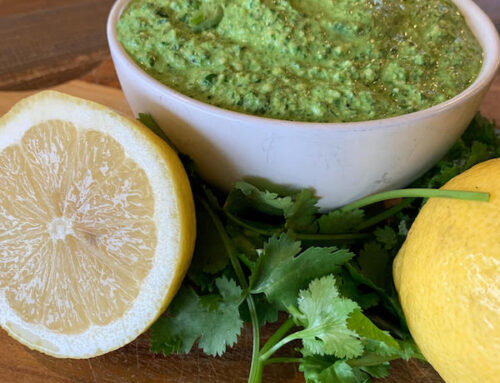 Coriander pesto