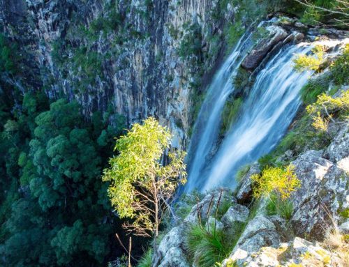 Northern Rivers Walks: The Best Bush, Coastal & Waterfall Walks to Explore