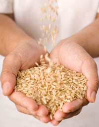 comfort-food.jpg comfort-food.jpg