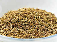cumin.jpg cumin.jpg