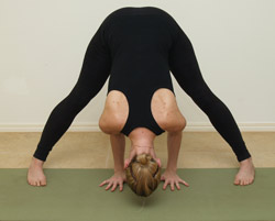 padottanasana.jpg